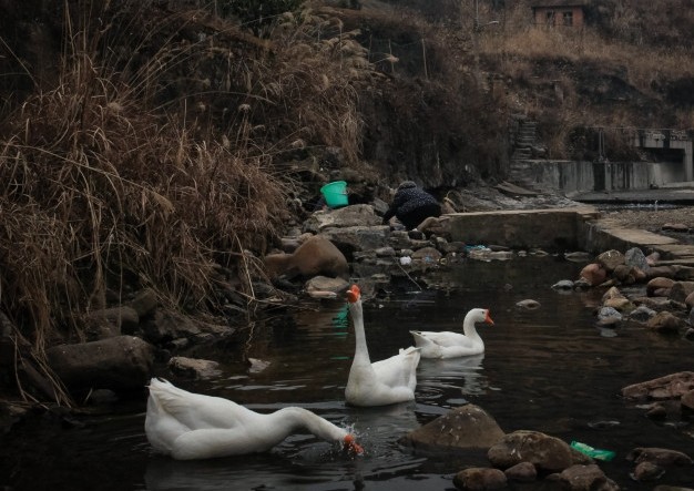 wordζԱļݵĲ죿